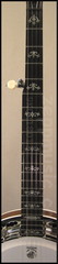 Deering Maple Sierra Archtop fingerboard