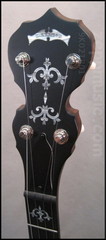 Deering Maple Sierra Archtop  peghead